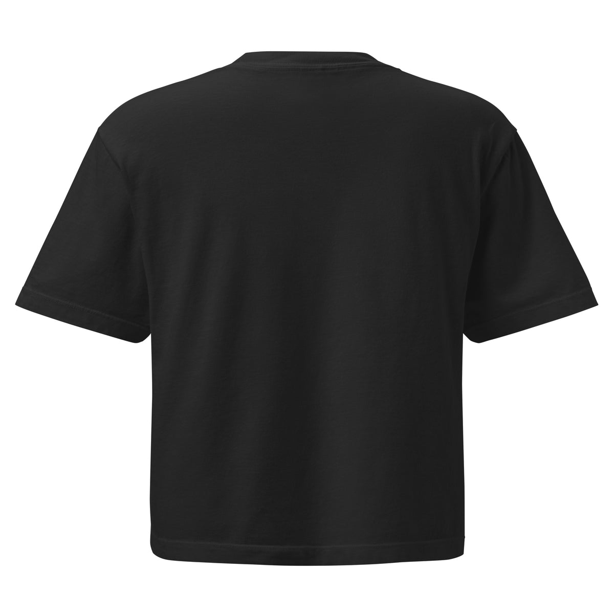 Boxy Fit Negra "VANGUARD" (320g)